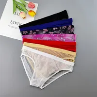 Men Transparent Nylon Briefs 3D Pouch Lightweight Male Bikini Underwear Soft Sheer Quick Drying Stretchy Lingerie XL/XXL/3XL/4XL