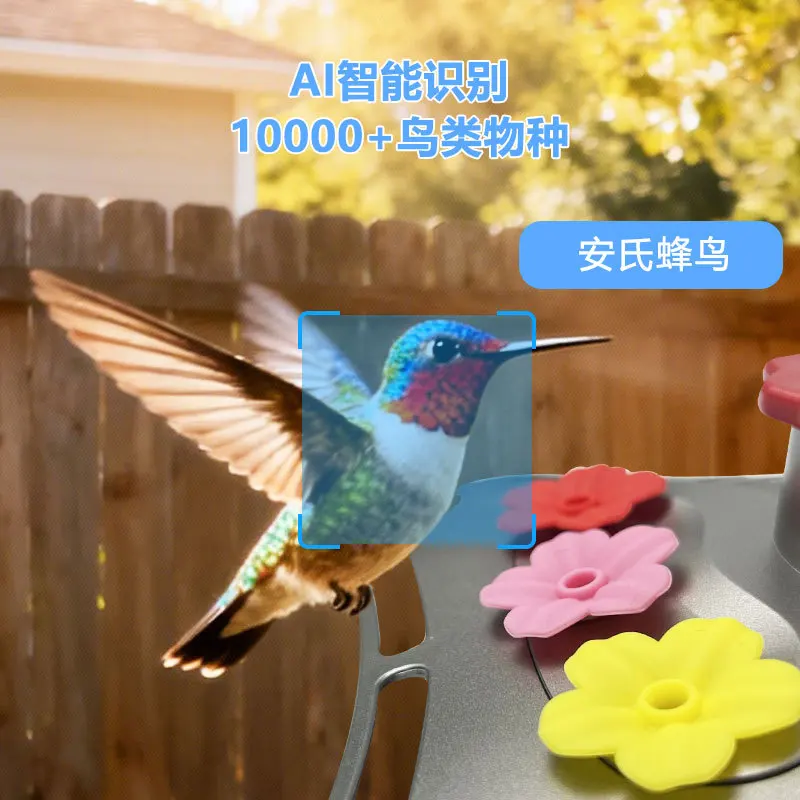 Outdoor solar glass hummingbird water feeder camera, waterproof, anti-ant, leak-proof, and painted on it