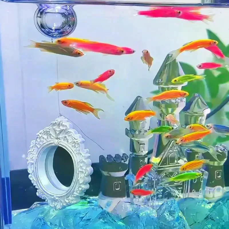 Betta Training Mirror Floating Aquarium Decor Vintage Frame For Fighting Fish Exercise Tank Landscape Enrichment Ornament