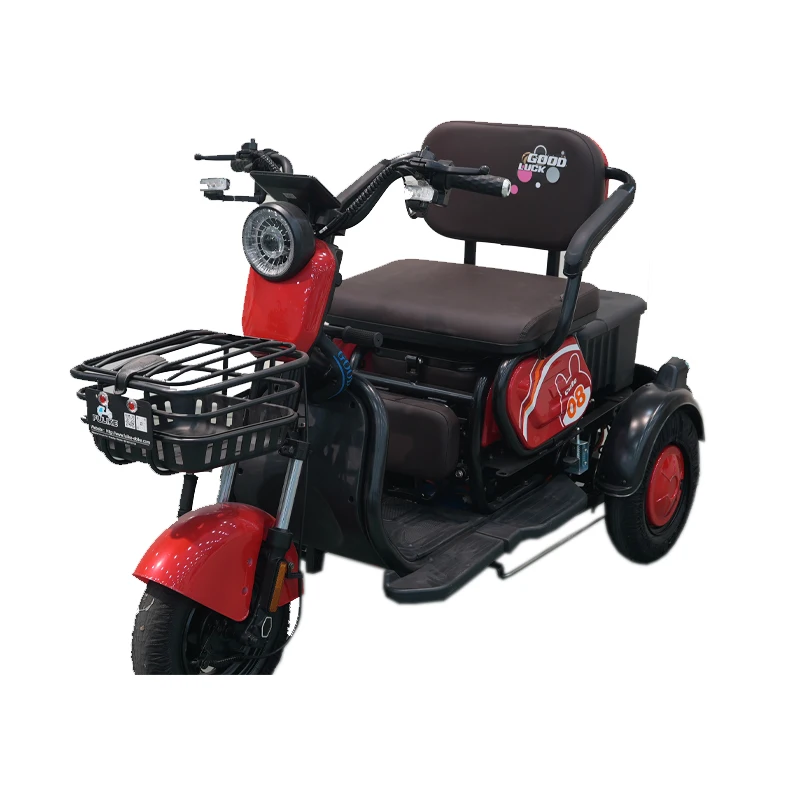 Custom 3-Wheel Electric Mobility Tricycle Scooter Open Body 48V Voltage Hot Sale Leisure Scooter