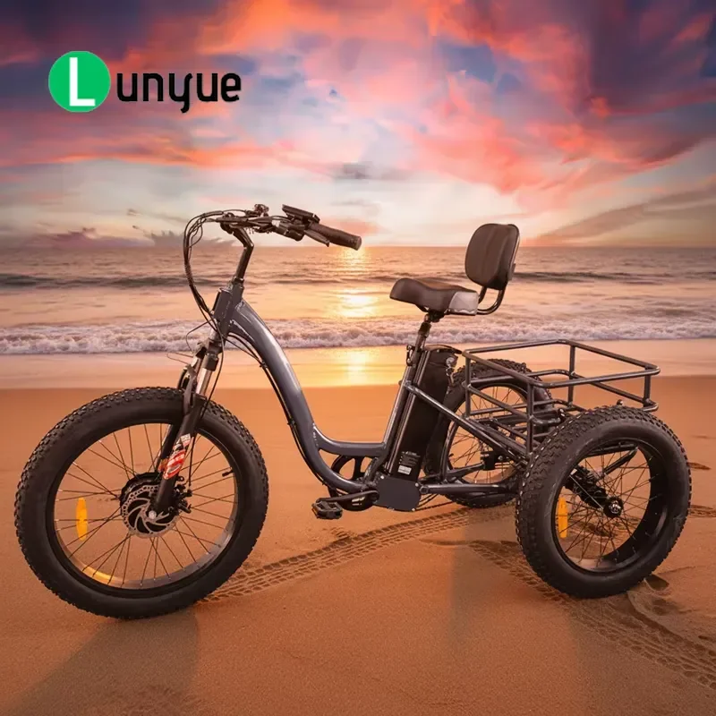 20-24 Inch Wide Tire Electric Tricycle Heavy Duty Cargo Trike with Basket 200-300kg Load Capacity for Elderly Delivery