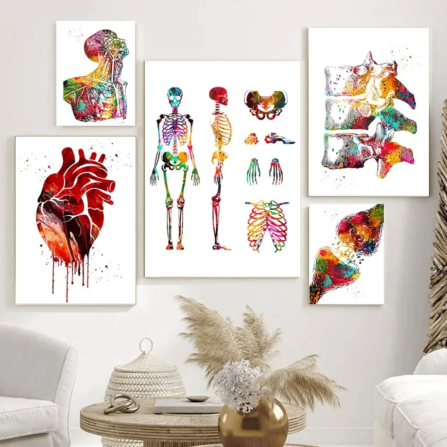 Anatomische Muskel-medizinische Bildung, Büro, minimalistischer Wandkunstdruck, Leinwandgemälde, Poster für Wohnzimmer, moderne Heimdekoration