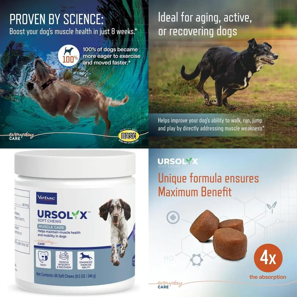 

Жевательные таблетки для поддержки мышц у средних собак: 60 таблеток, запас на 2 месяца для пожилых или активных собак