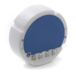Diameter Of The Ceramic Pressure Sensor. Sensing Part Of High-Precision Core Flat Membrane Pressure Transmitter