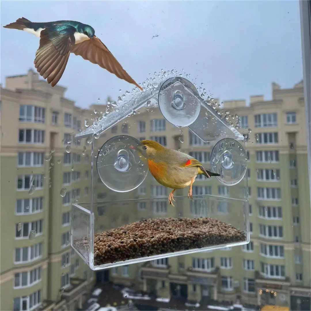 Thumbnail 3 - #17 Top Automatic Feeders Picks for Every Budget