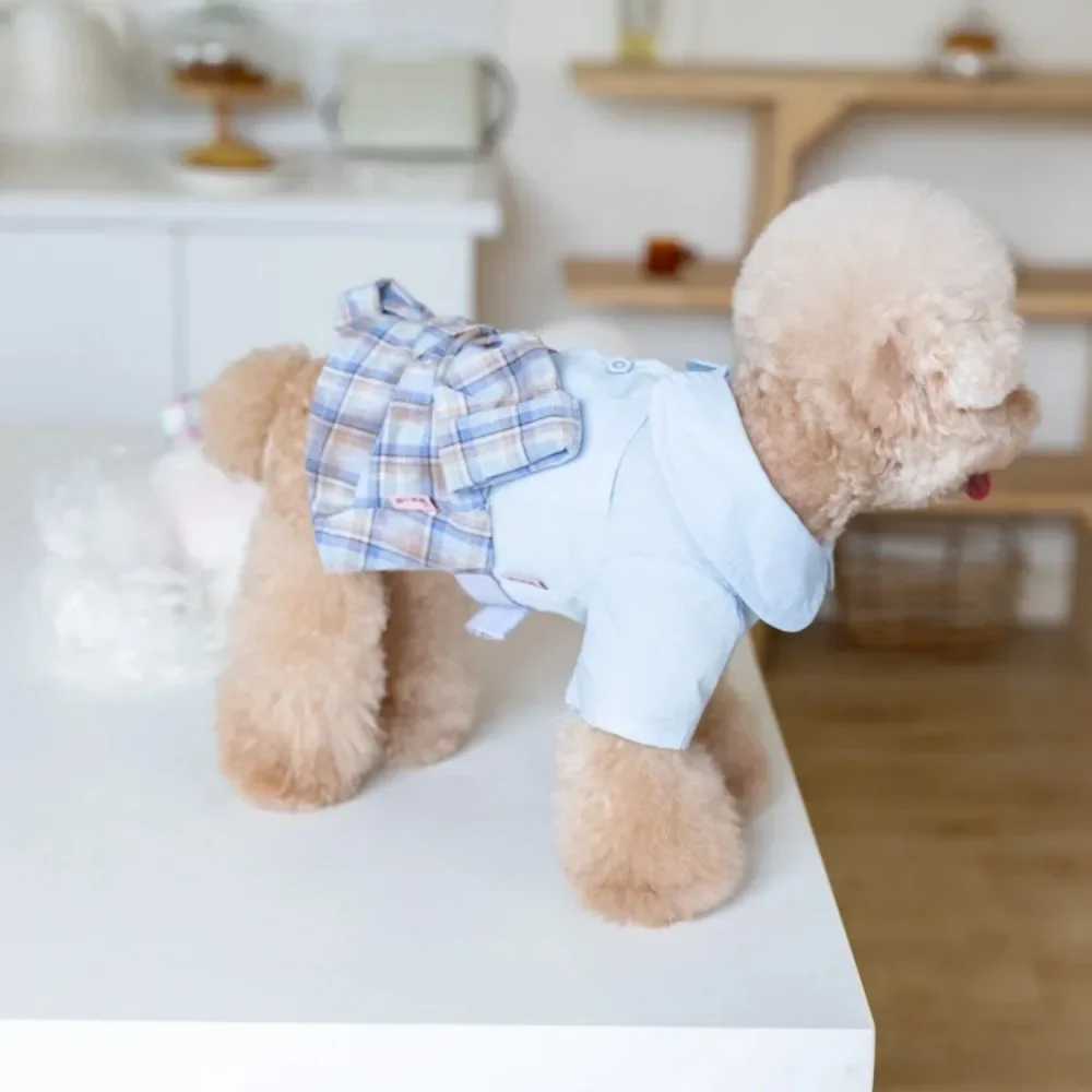 Autumn and Winter Ins Style Pet Clothing Cat and Dog Clothing Plaid Skirt with Pet Shirt Couple Set  Puppy Clothes Dogs Costume