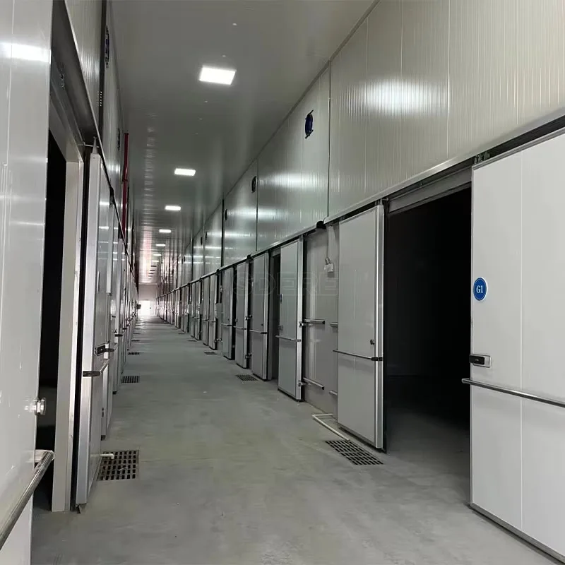 تخصيص اللحوم التجارية الخضروات المأكولات البحرية غرفة التخزين البارد المشي في مبرد الفريزر معدات الصف التجاري