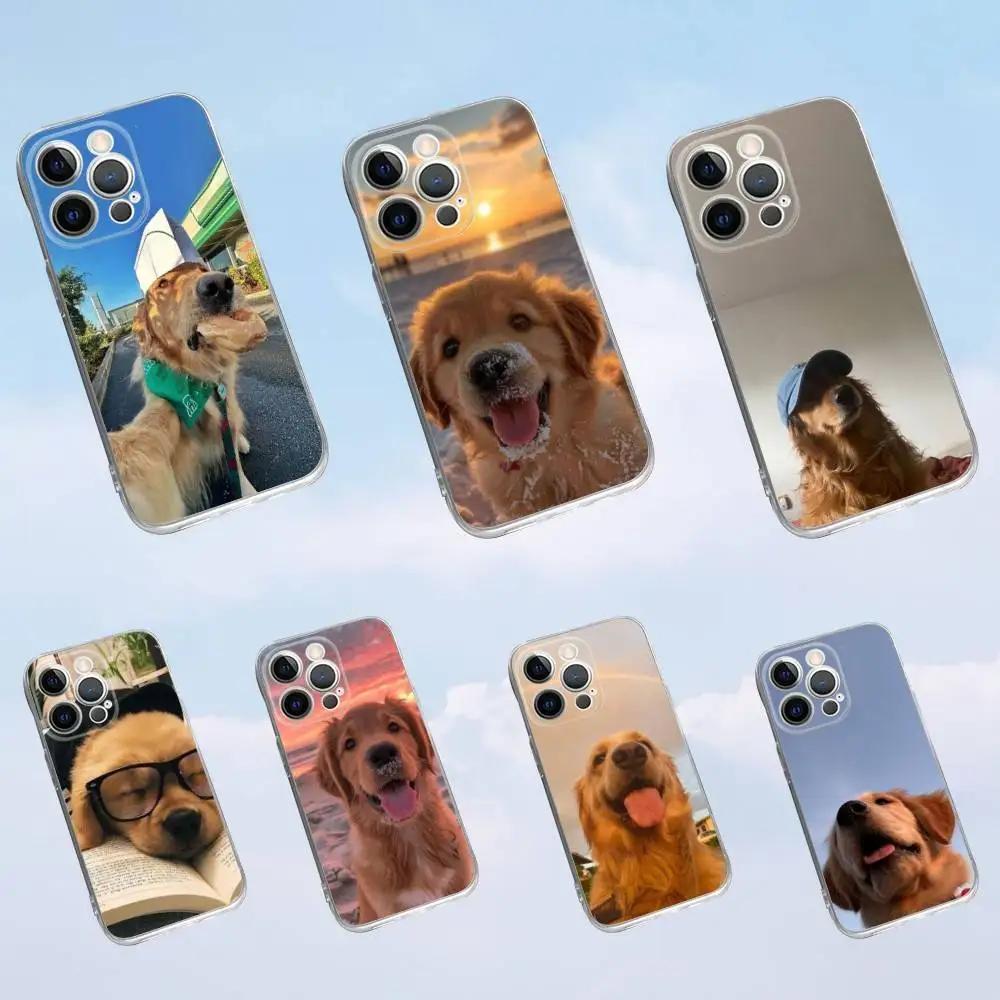 

Golden Retriever cute Phone Case For iPhone 16,15,14,13,12,11 Pro,Max,Plus,X,XS,XR,SE,Mini Transparent Silicone Soft
