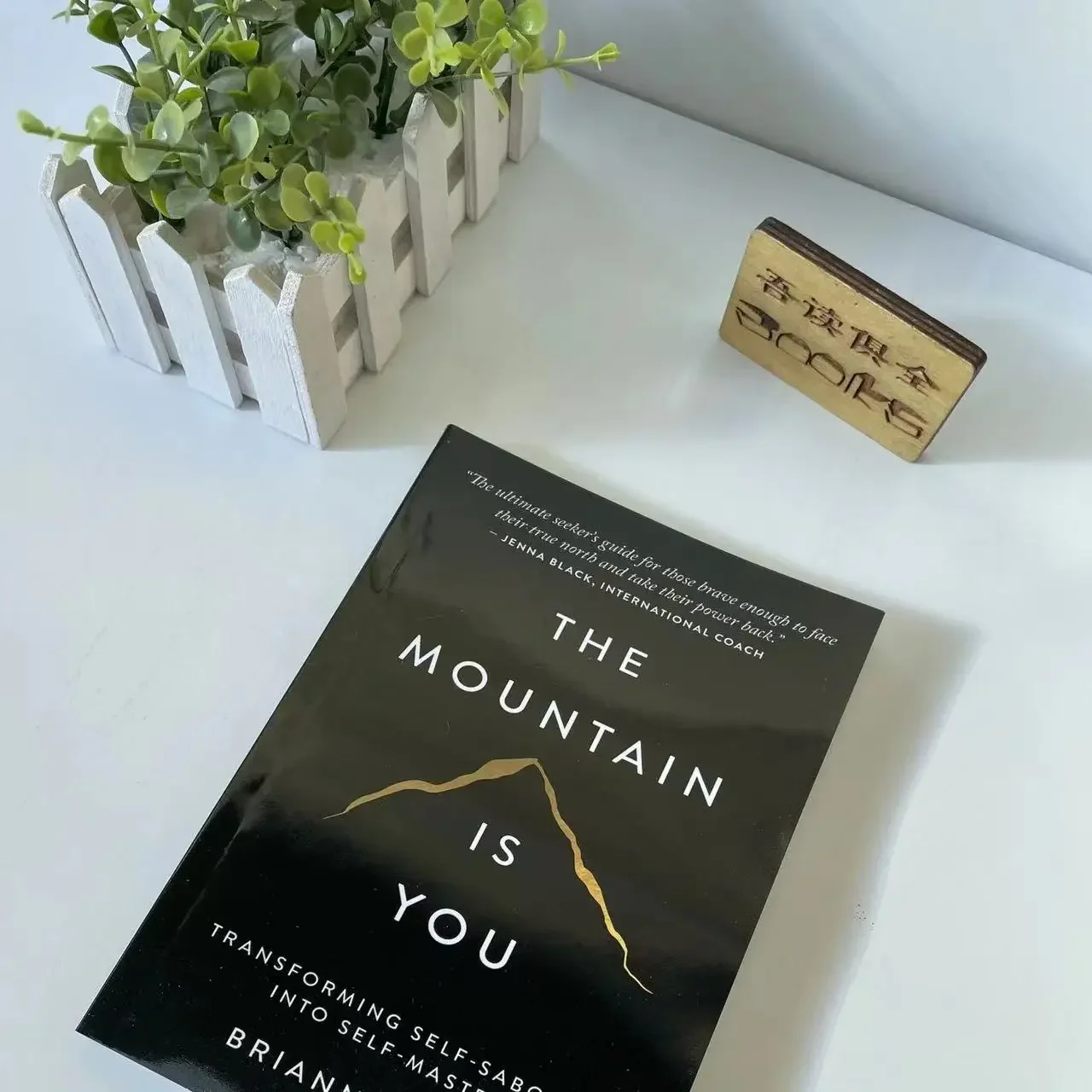The Mountain Is You Paperback Romance Inglês