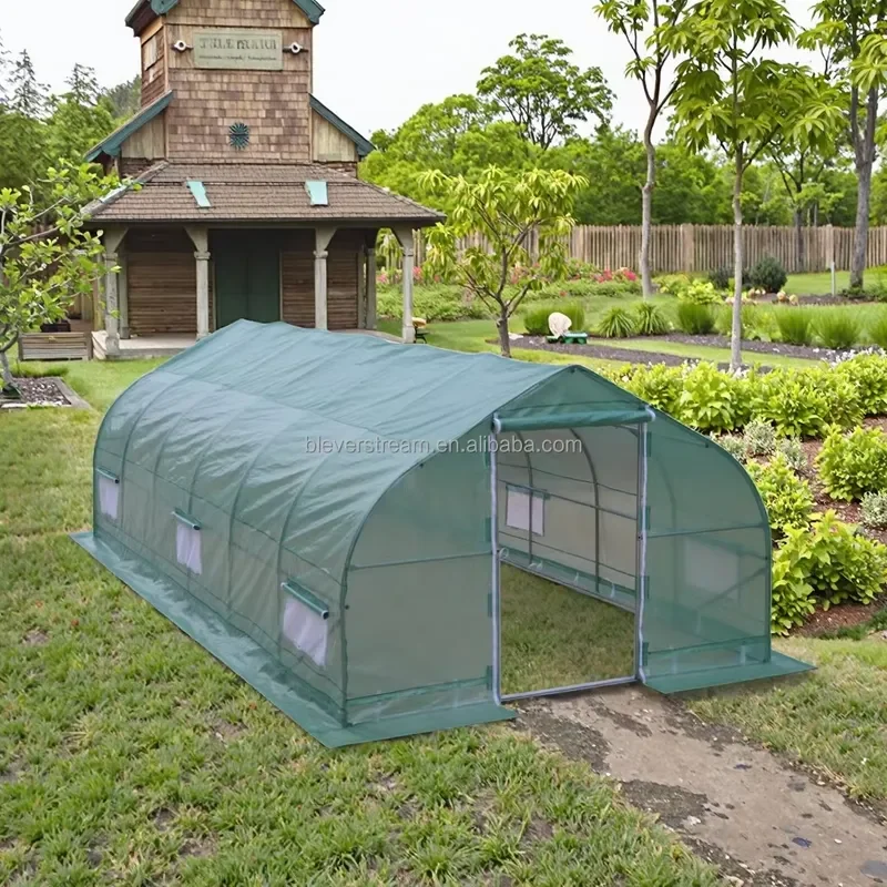 10x10ft 3x3m Galvanized Steel Greenhouse PE Film Tunnel Design Polythene Outdoor Garden Use Metal Frame for Plant Growing