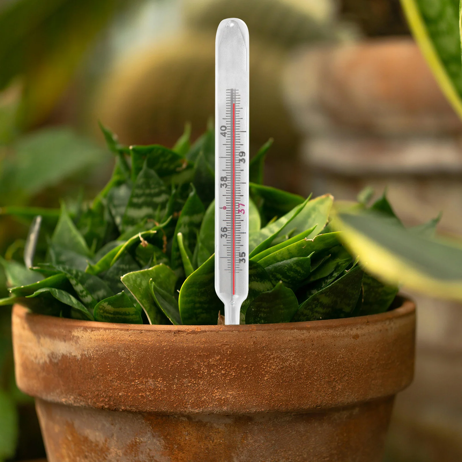 

Water Level Indicator Float Accessories Red Plastic for Flower Pots Easy Use No Assembly Durable Long Lasting Water Gauge Plant