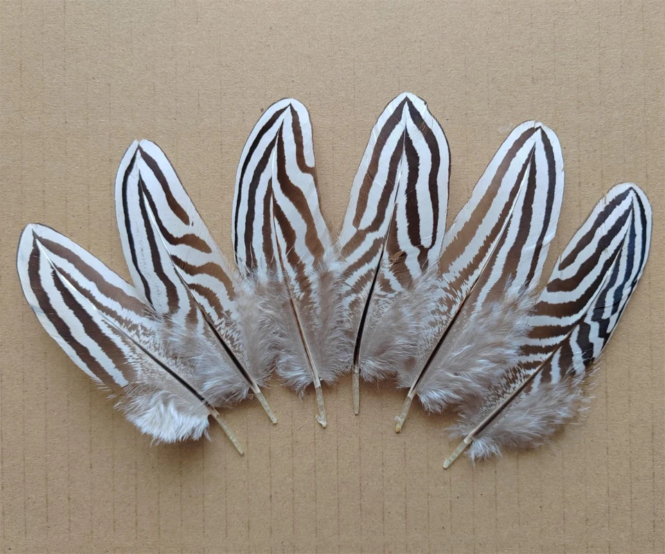 

100Pcs/Lot! 7-12 cm Party Decoration Plumas, SILVER PHEASANT Small FEATHERS with Thick Strips, Natural White Black Fly/Fishing