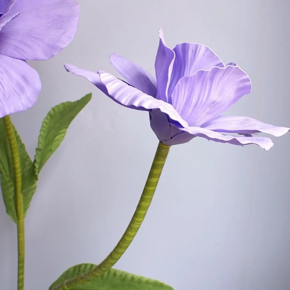 60Cm Giant Pe Foam …