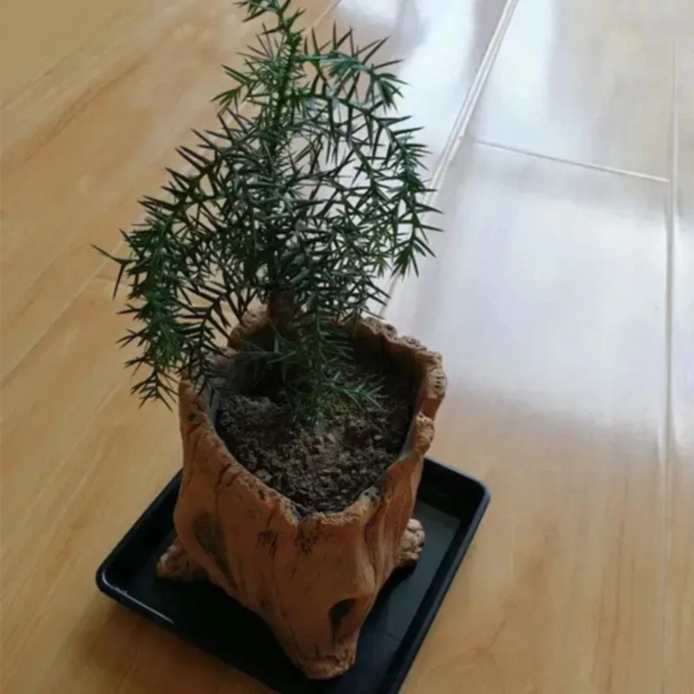 Rustic Stump Log Imitation Wooden Flower Pot Irregular Tree Stump Shape Wood Grain Imitation Wood Flowerpot Bonsai