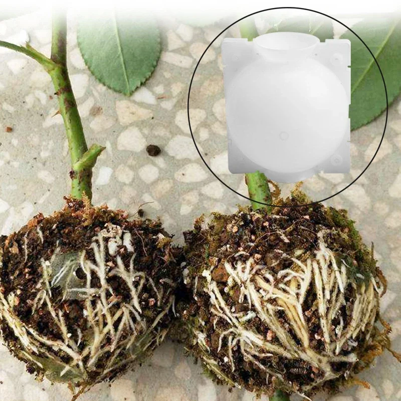 5pcs Plant Rooting Ball Grafting Rooting Box Breeding Case Plant Root Growing Box For Garden 5/8cm In Diameter planting tools