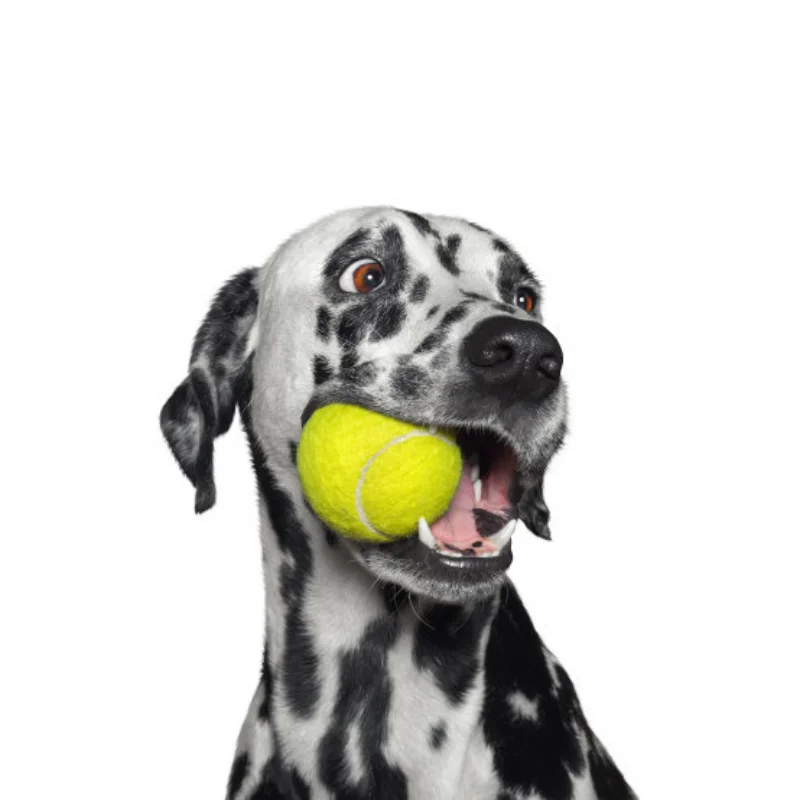 

4 шт., металлический 1,9-дюймовый обод колеса с бисером, ступица колеса для 1/10 RC гусеничного автомобиля, осевой SCX10 Trxs TRX4 RC4WD D90 YK4102