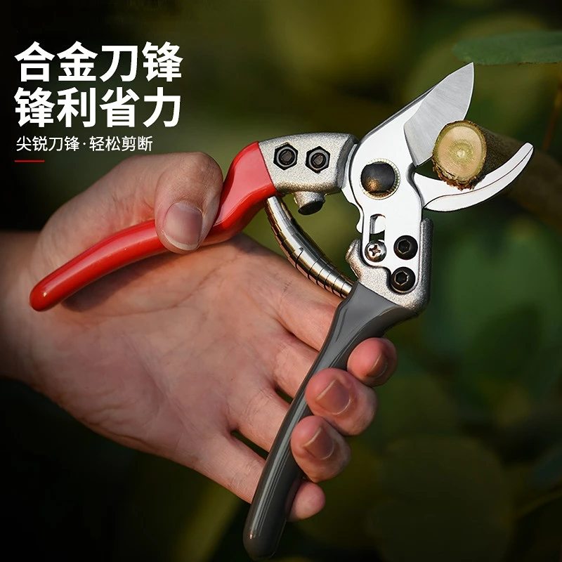 

Pruners Orchard and Garden Hand Tools Bonsai Scissors Garden Machines Kitchen Knives Pruners Lawnmowers Professional