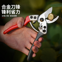 Pruners Orchard and Garden Hand Tools Bonsai Scissors Garden Machines Kitchen Knives Pruners Lawnmowers Professional