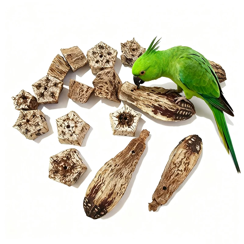 Natural animal de estimação pássaro papagaio mastigar brinquedo pássaro pata moagem mordendo brinquedos de madeira seco estrela frutas animal de estimação papagaio arara rede pássaro brinquedo diy