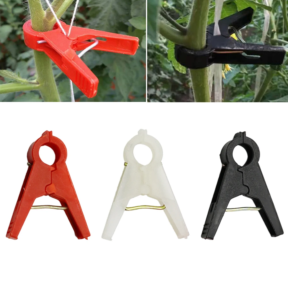 20/50/100Pcs Garden Plant Support Clips Tomatoes Vine Buckle Flower Clamp Cucumber Grape Climbing Tool Gardening Supplies