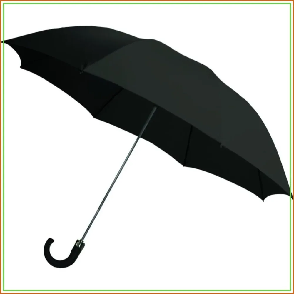 2-Fold Auto Open Umbrella with Storage Sleeve and Plastic Hook Handle, Black, 42"