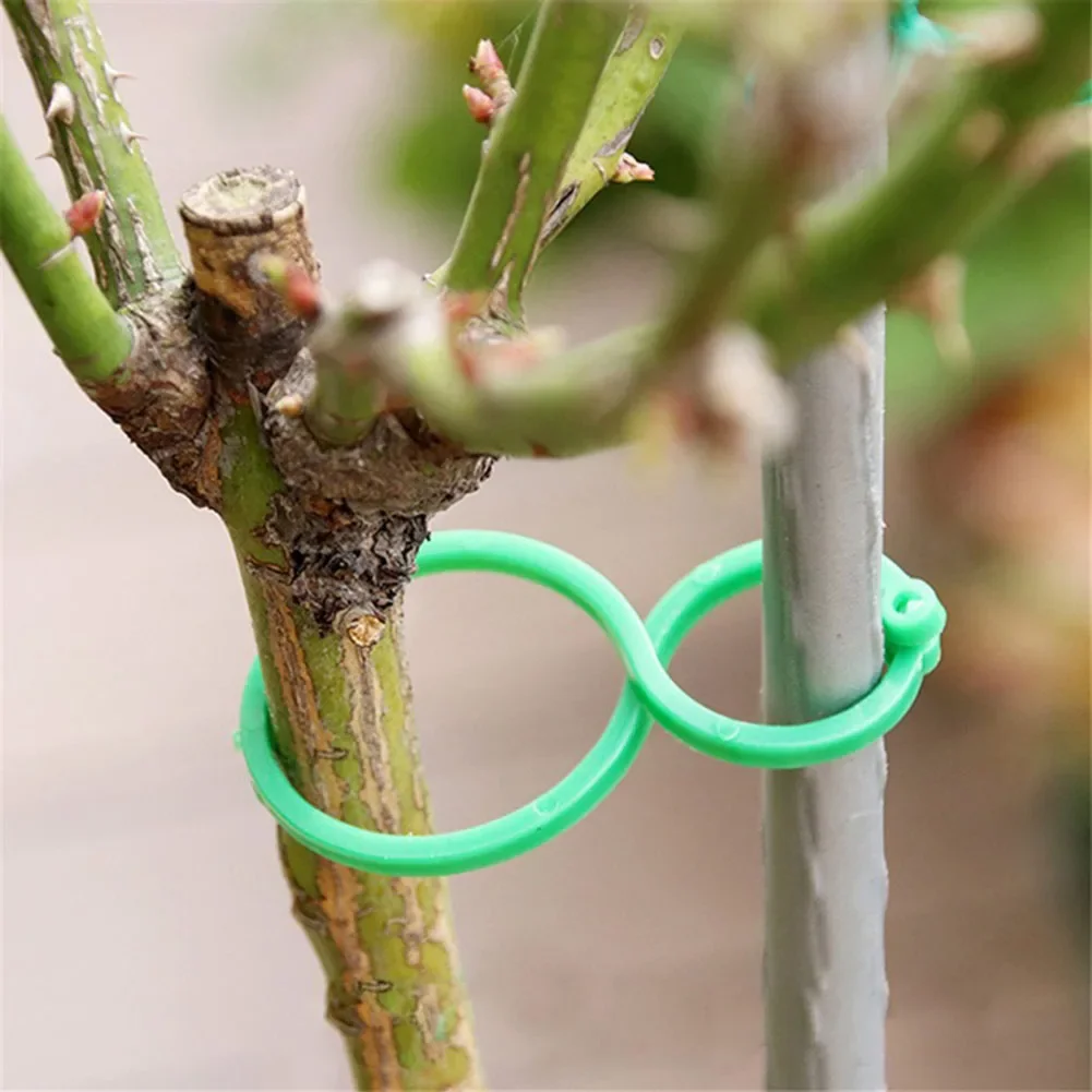 100 Pcs Garden Plant Twist Clip Ties Supports Vegetable New Tomato Growing Connects Protection Grafting Fixing Tool