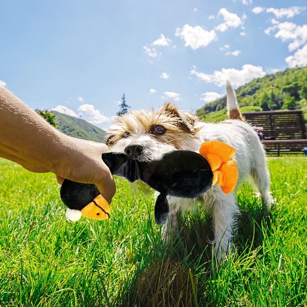 Plüsch Hundes pielzeug Huhn geformte biss beständige quietschende Spielzeuge für kleine große Hunde Welpen Haustiere Trainings zubehör Hunde zubehör