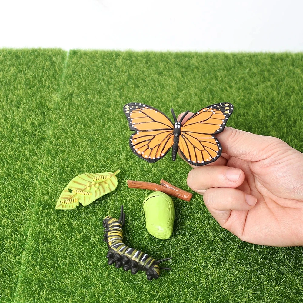 Newest Simulation Animals Growth Cycle Model Bee Spider Butterfly Action Figures Figurine Cute Kids Baby Toy Figures Educational