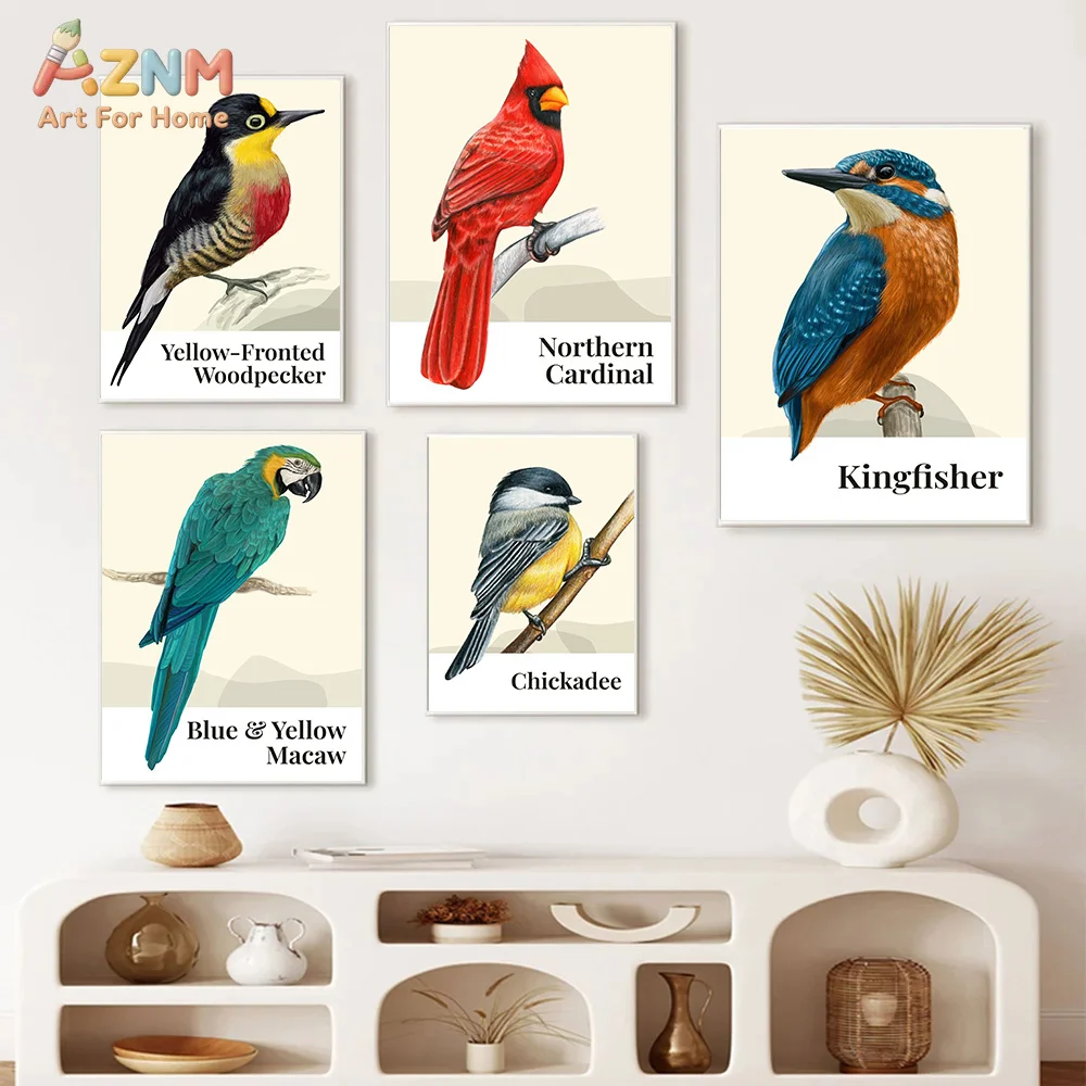 AZNM Illustrated Named Tropical Bird Canvas Poster, Frameless Exotic Wildlife Bird Identification Wall Art For Study Room Nature