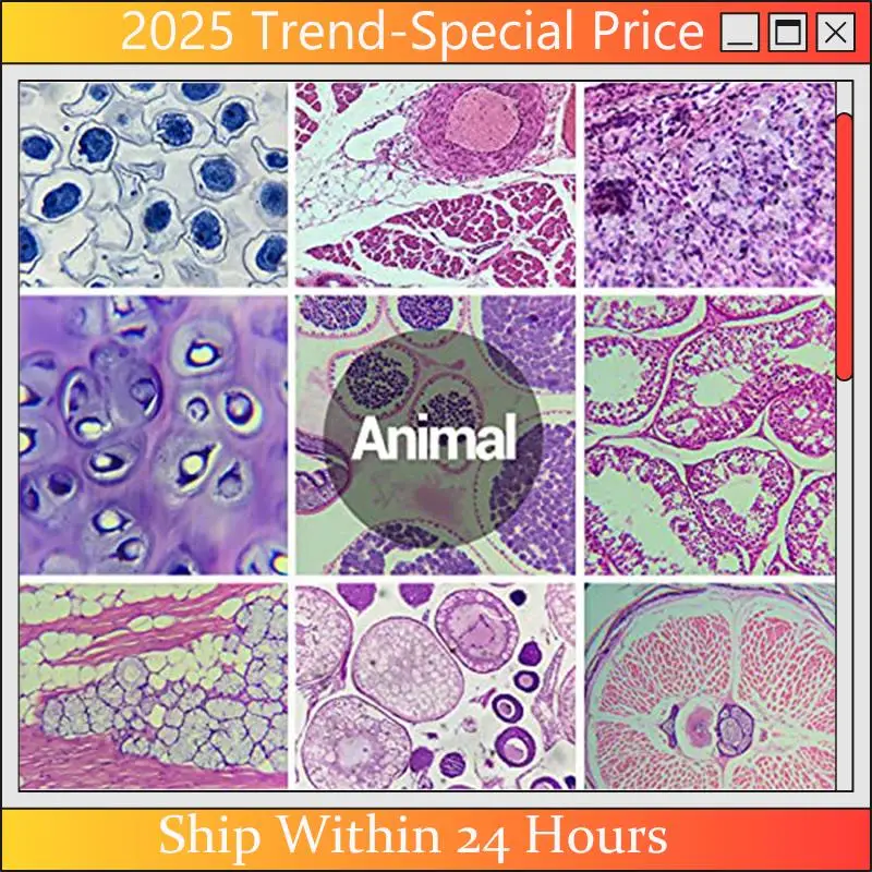 A61Z Deals Microscope Slides With Specimens From Children, Microscope Slides For Adult Microbiology In Children,100PC