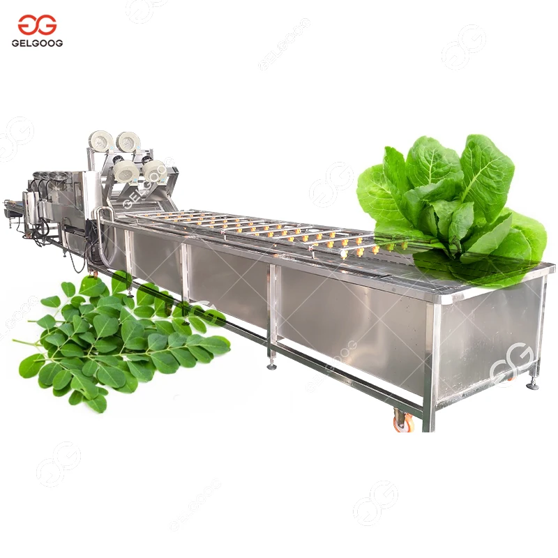 Automatic 2.5M-8M Carrot Potato Washing Pineapple Washer Ozone Fruit And Vegetable Cleaning Machine