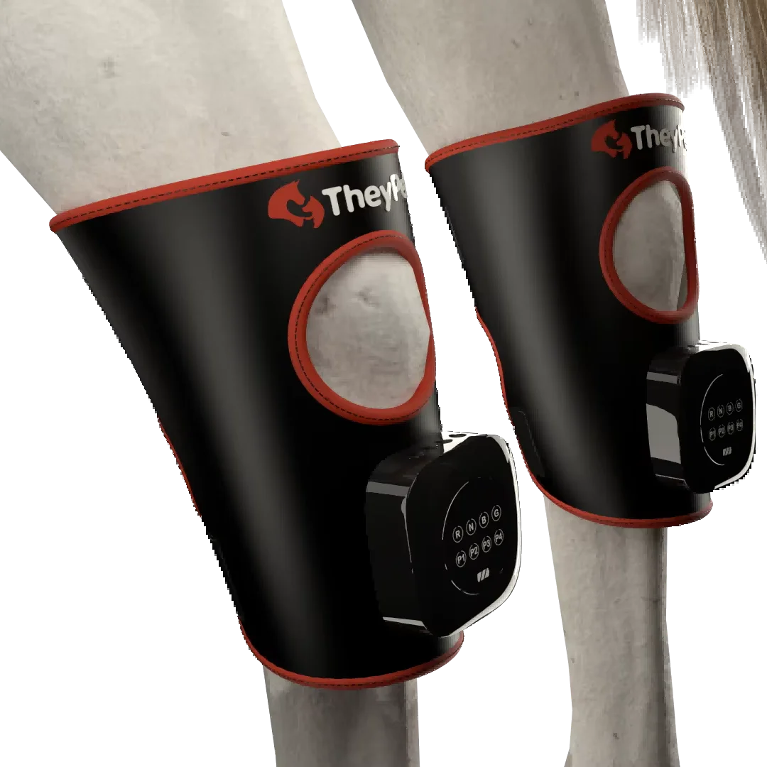 

New Horse Equine Infrared Therapy Pad Veterinary Instrument With LED for Pain Relief and Knee Joint Wrap