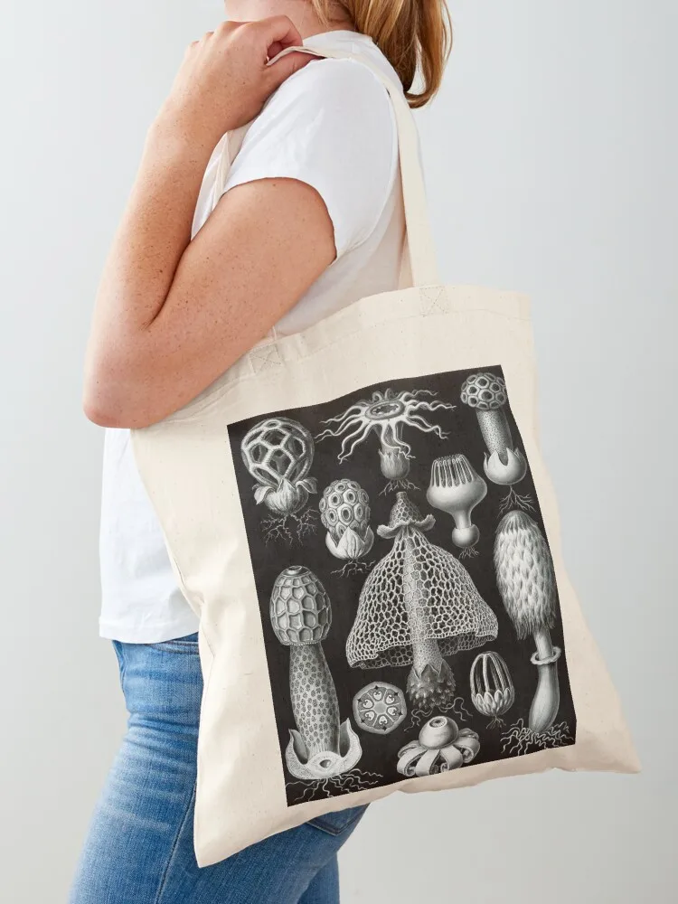 

Haeckel Aspidonia Drawing Tote Bag Fabric bag Women's shopper Reusable bags