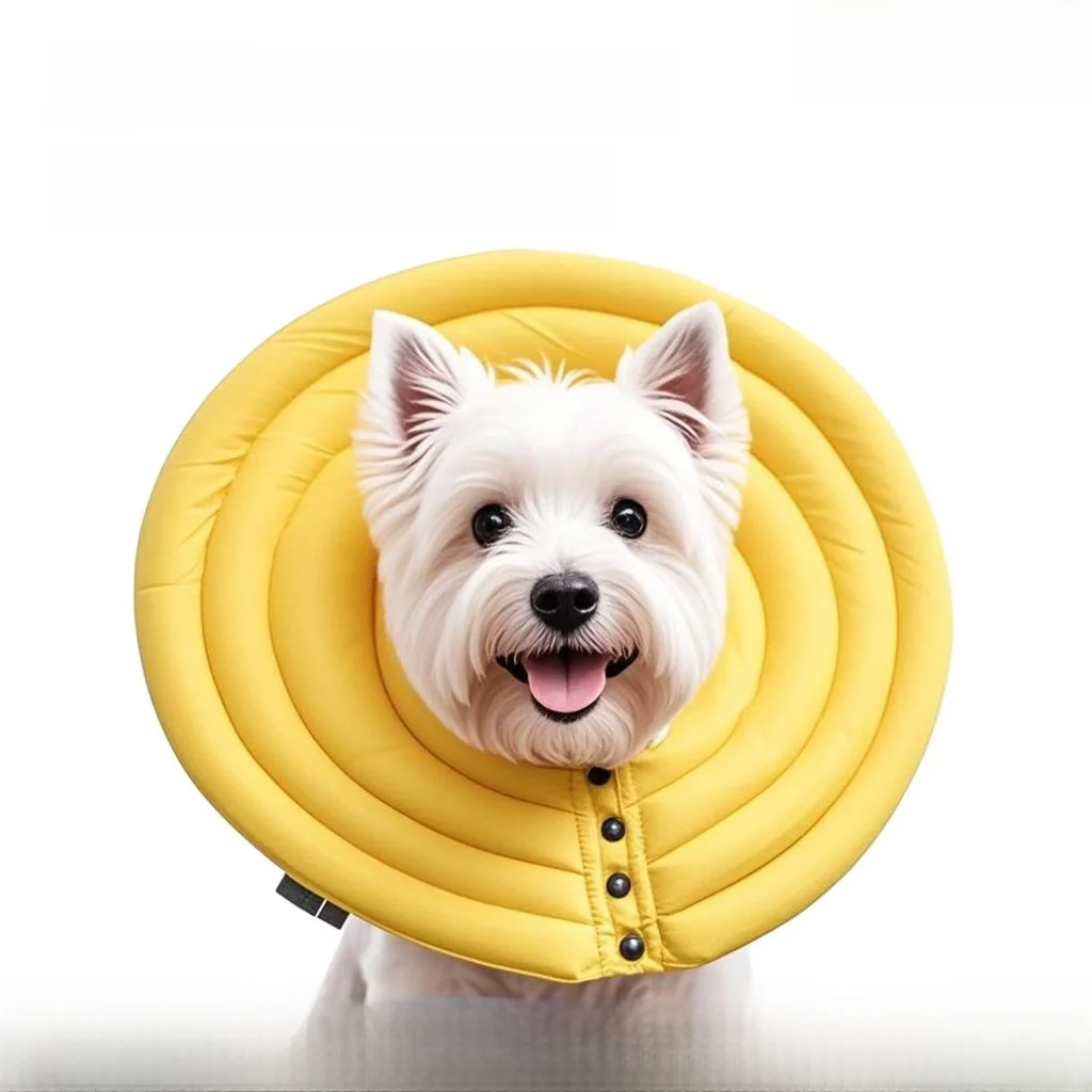 

Extended Elizabethan Collar for West Highland Small Dogs Comfortable Pet Neck Ring Wide Dog Head Cover Shield by Guangmanzhi