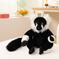 White Ruffed lemur
