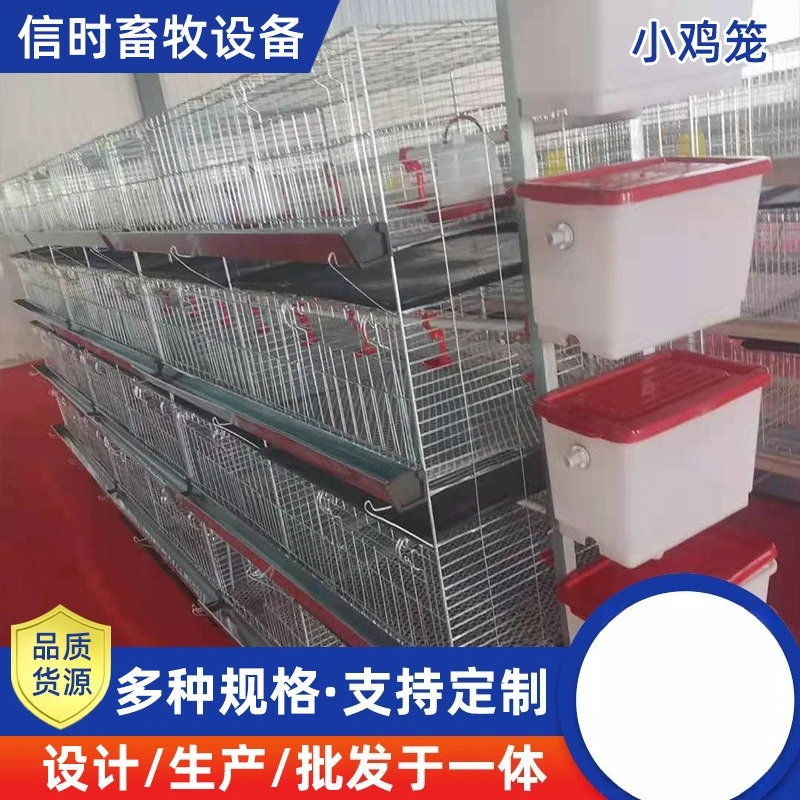 Bold encrypted chick cage brooding colorful pheasant breeding four-layer integrated small chicken cage household