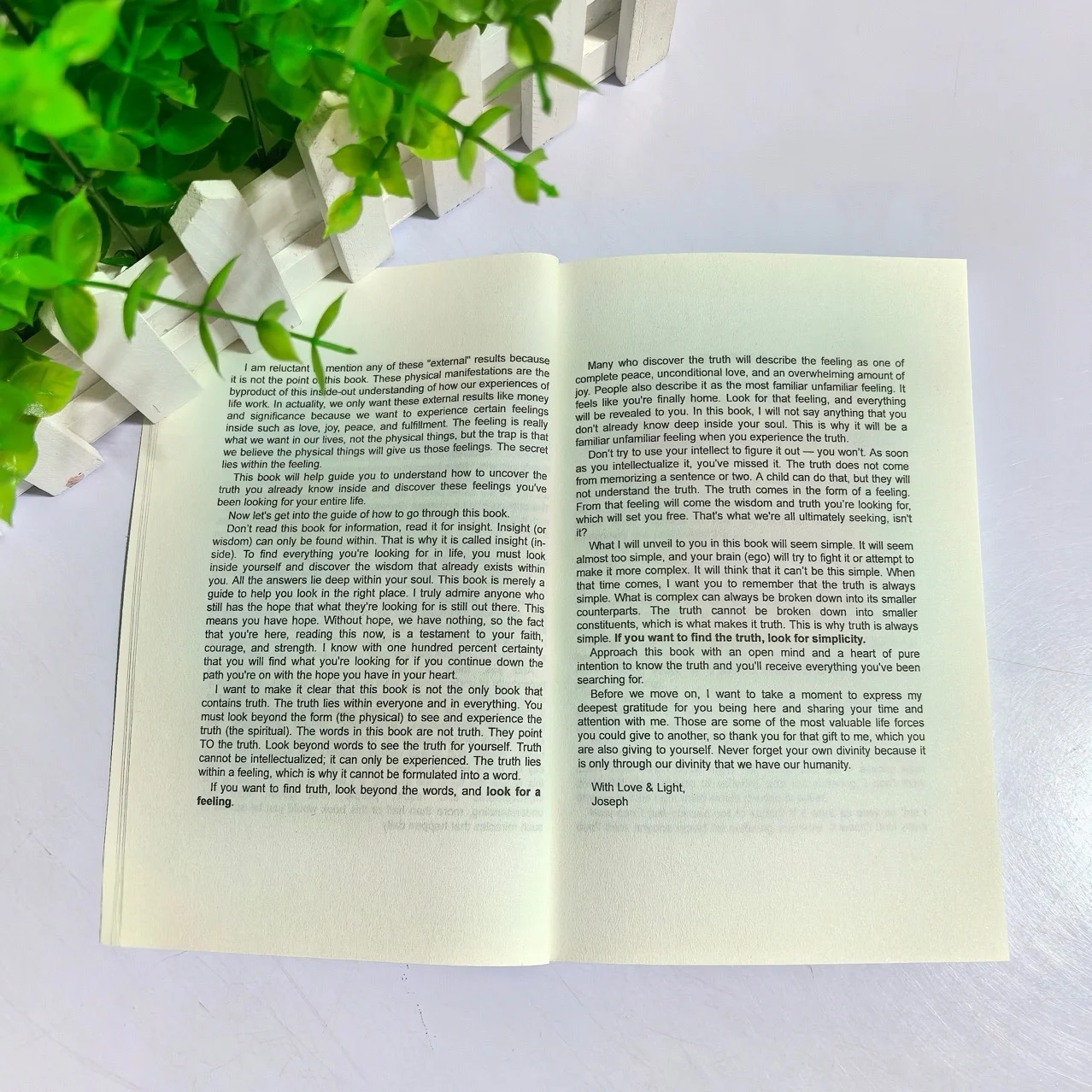 Английская версия «Не верьте все, что вы думаете Джозеф Nguyen» Почему ваше мышление начинается и конец осушения ﻿