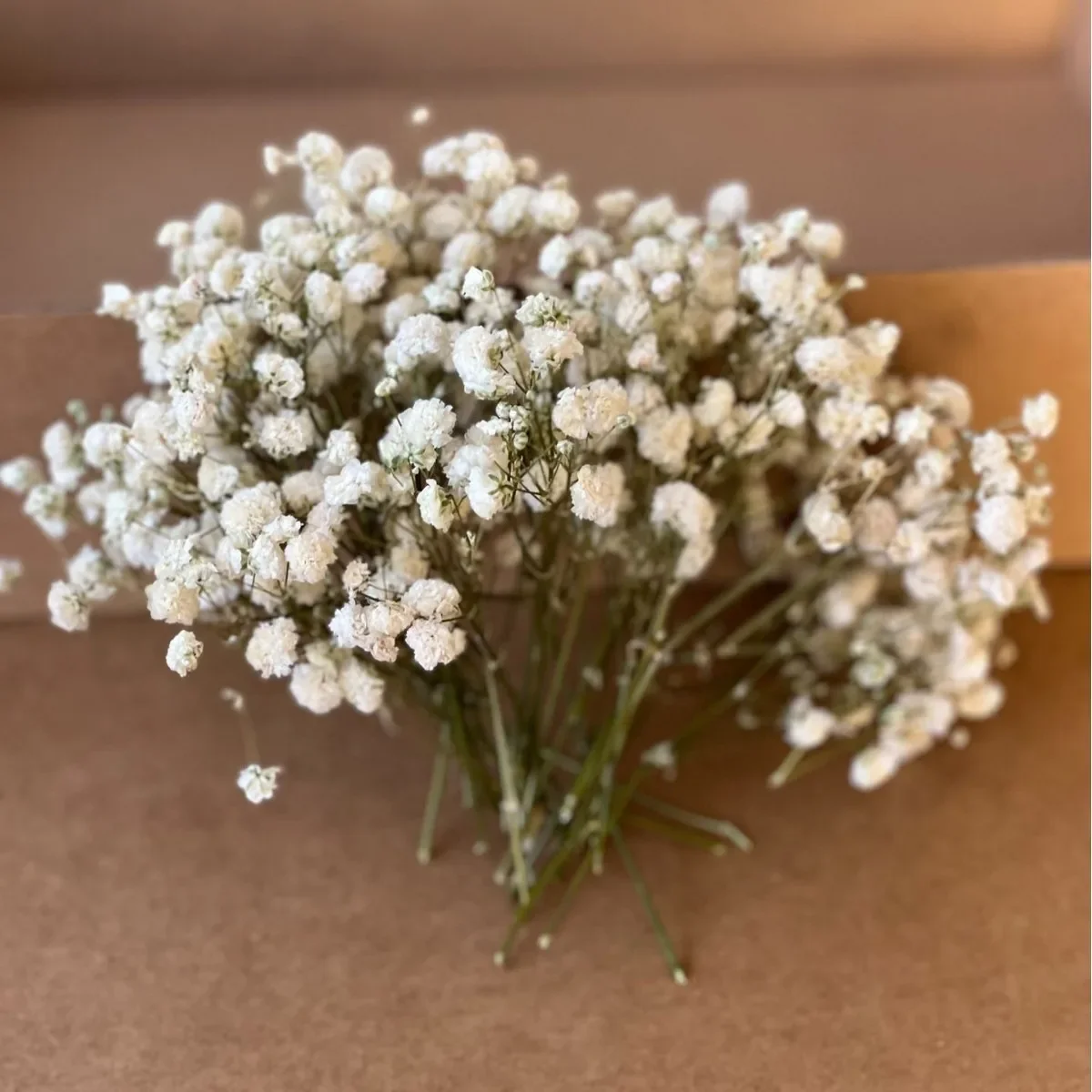

100pcs Dry Flowers Gypsophila Floral Arrangement Dried Flower Eternal Flower Creative DIY Home Wedding Decoration Gift