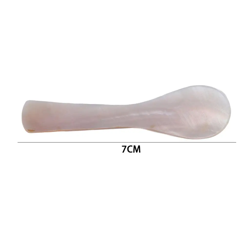 Kitchen Conch Natural Stirring Tool Coffee Scoop Caviar Spoons Teaspoon