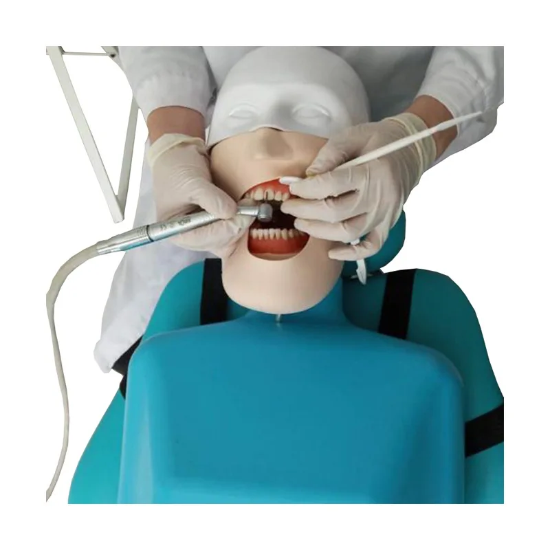 Dental chair strap shoulder body head mold tooth model