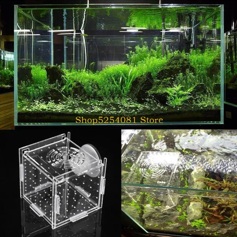 AXYC Aquarium Breeder Box for Fish for Tank Breeding Incubator Small Fish Hatchery Clear Acrylic Divider for Injured Fish 8x8