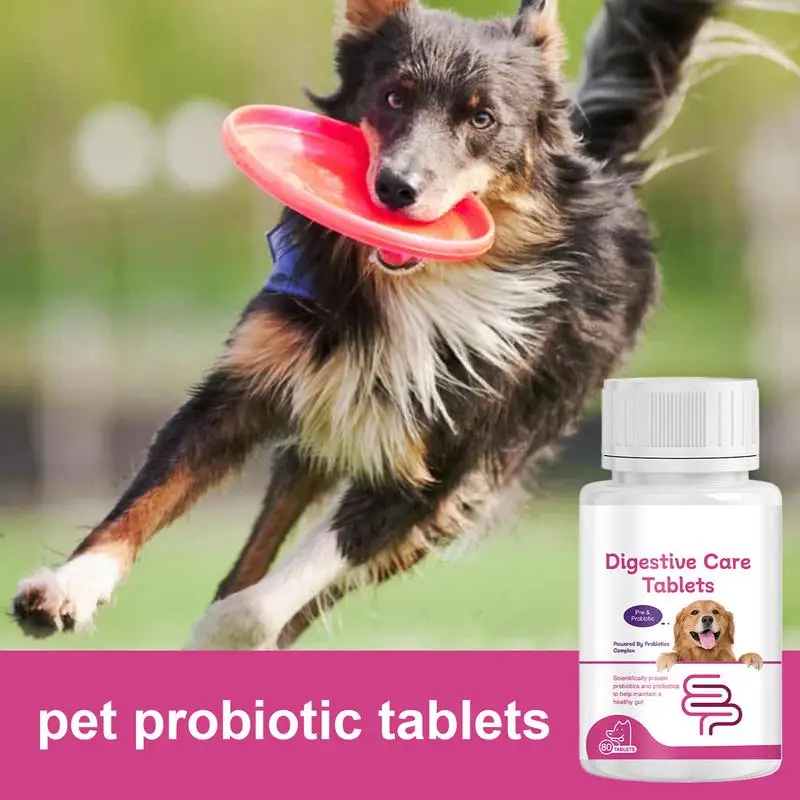 Pet Probiotic Supplement Probiotic Probiotic Tablets Digestive Health Supplement Supplement Tablets Digestive Support Puppy