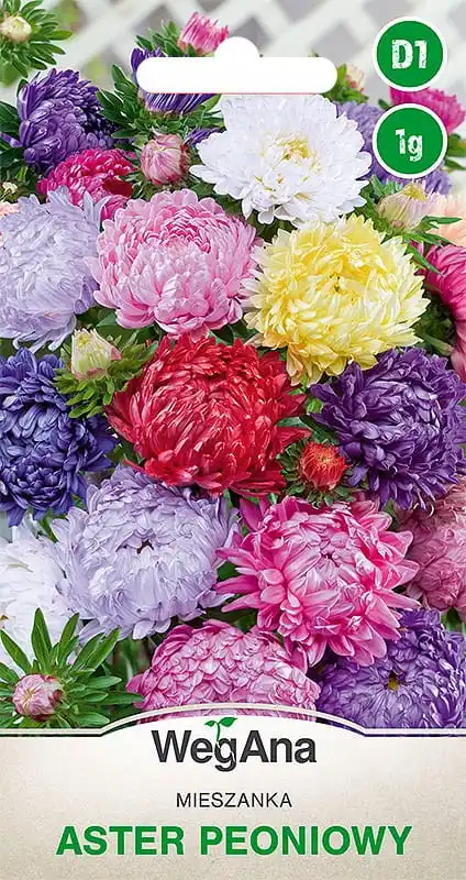 Aster pemony mix of colors 1G WegAna flower seeds