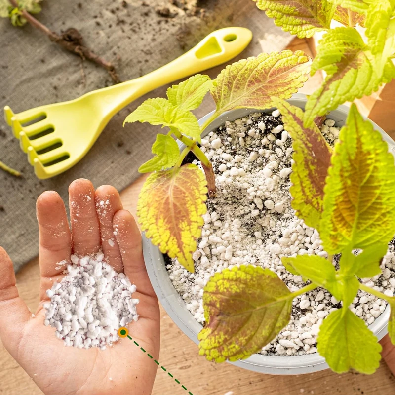 Perlita para Jardinería, Perli - Orchid Potting Mix reseña y precio