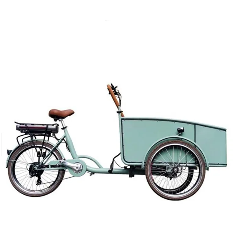 

Pedal Electric Dutch Adult Tricycle Blue Color Cargo Bike Street Vending Cart For Sale Customizable