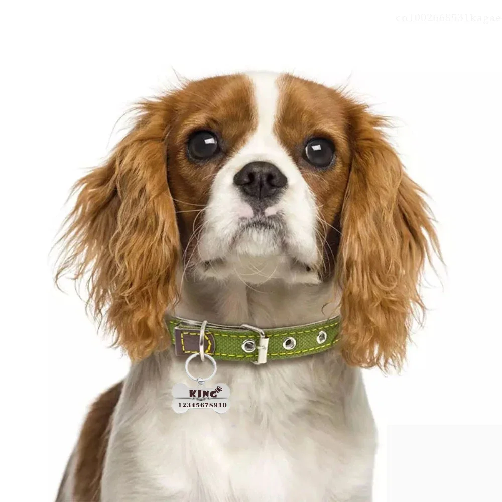 Customized Pet Nameplate Free Engraving Name ID Tag for Dog Cat Collar Necklace Personalized Puppy Anti-lost Nametag Bone Shape