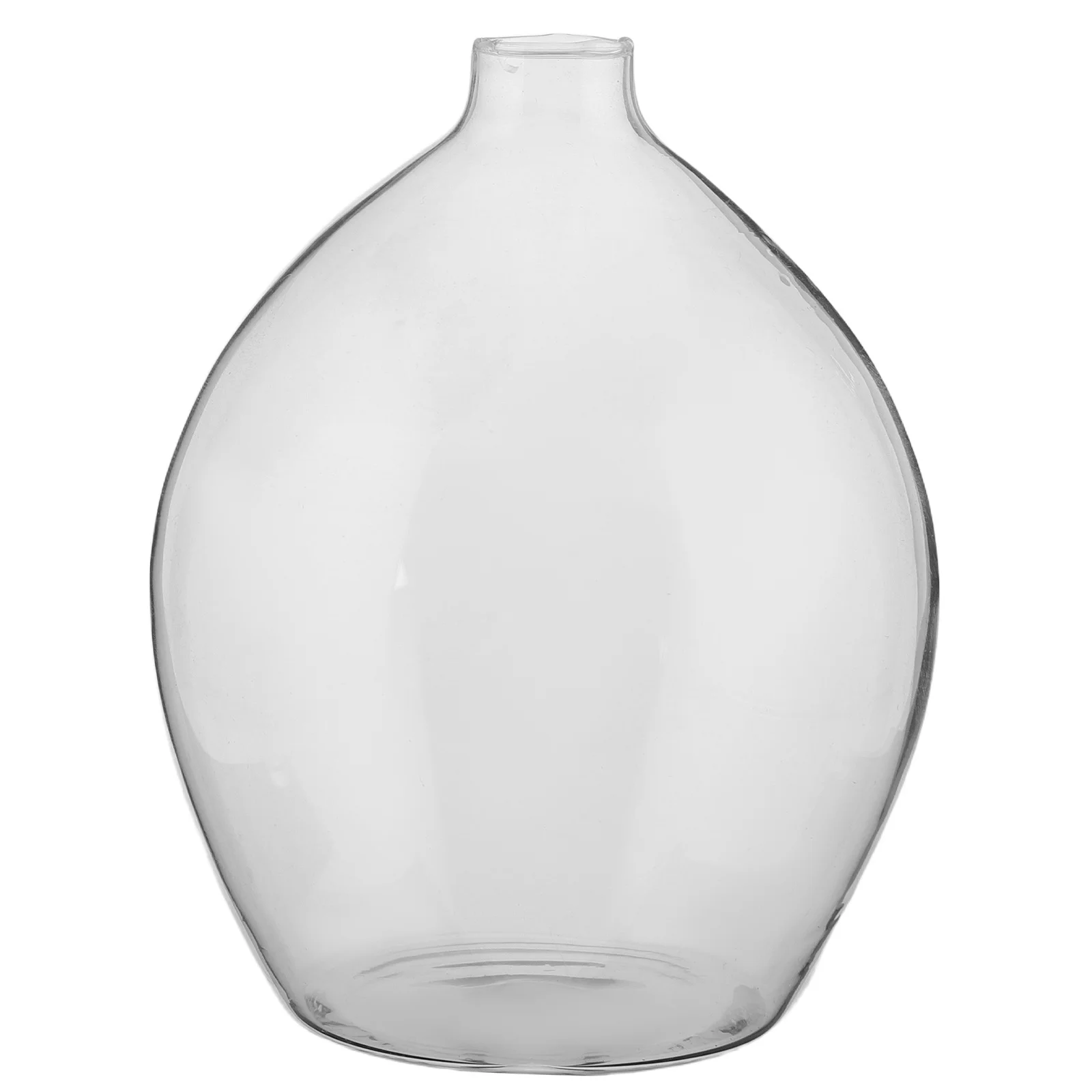 

Narrow Minimalist Glass Vase for Tabletop Use Clear Hydroponic Planter Bud Vase Japanese Style Home Decor Accent for Living Room