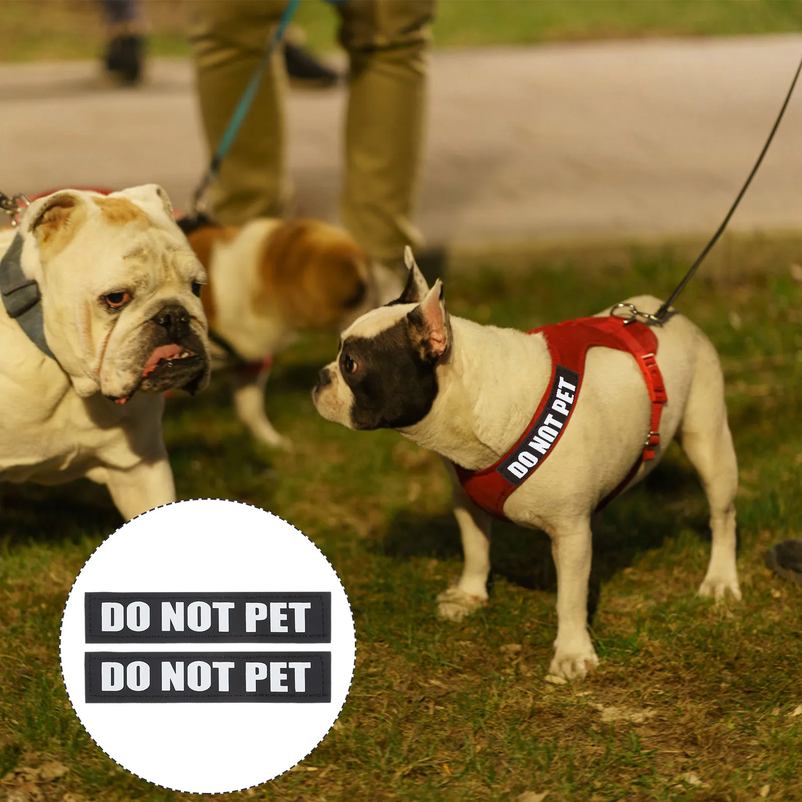 

2Pairs Reflective Dog Harness Patches Letter Design Easy to Install Lightweight Small Size Pet Accessories Do Not Pet Sticker