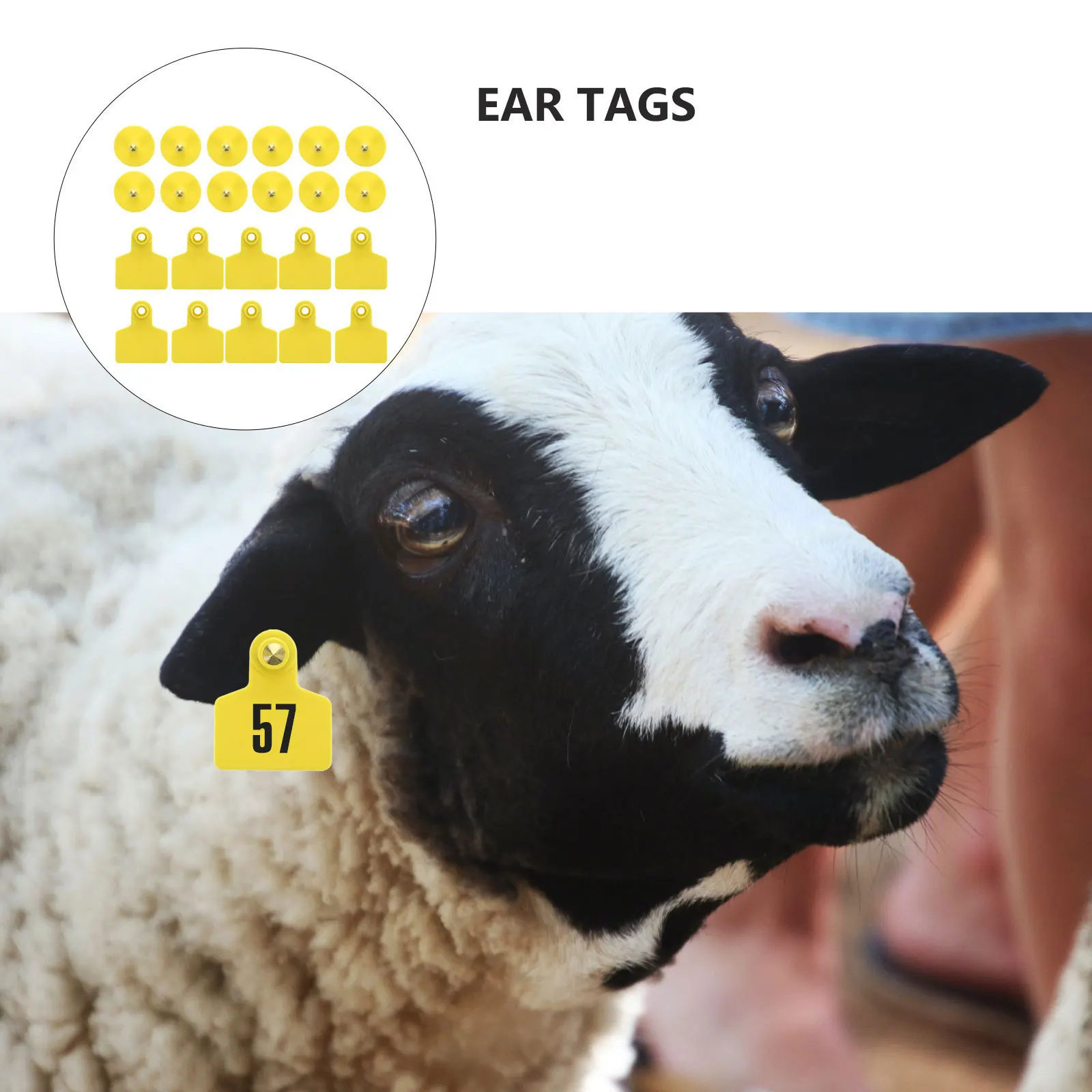 

100Pcs Livestock Ear Tags Premium Tpu Pig Ear Markers Rustproof Studs Reusable Animal Id Tags for Cattle Goats Horses Farm