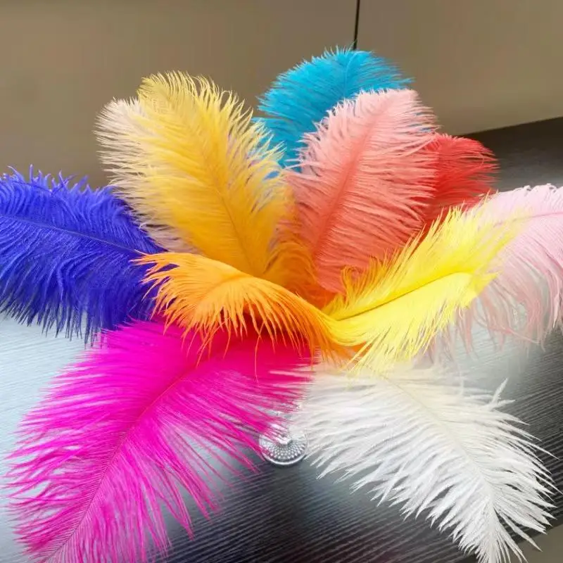 Weiche Straußenfedern in verschiedenen Farben, DIY-Bastelzubehör für Hochzeits-, Heim-, Party- und Festdekorationen. – Detail 3